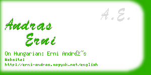 andras erni business card